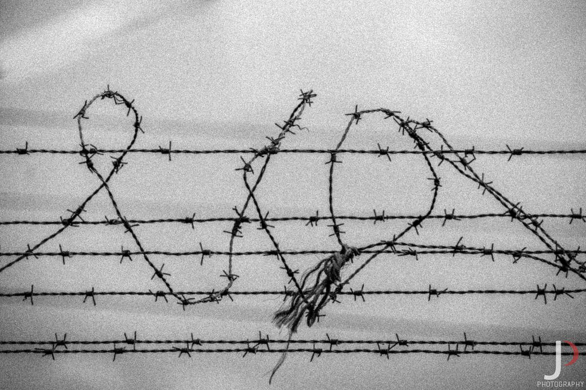 876Lensman's tweet photo. @artmonnk Hey, I'm a Jamaican Photographer. You can find me on ig @jaun.photography

I call this collective work "Captivity" https://t.co/tZG631vyqY