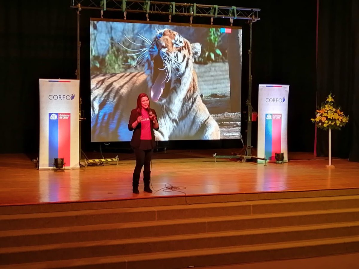 Manu_Nanjari's tweet photo. La innovación es fundamental para aumentar la productividad de la economías y mejorar la competitividad y por eso desde @Corfo junto a @Int_Atacama estamos invitando a emprendedores y Pymes a #AtreveteaInnovar para contribuir a su crecimiento, desarrollo y resolver desafíos país. https://t.co/UtSMuHO2VO
