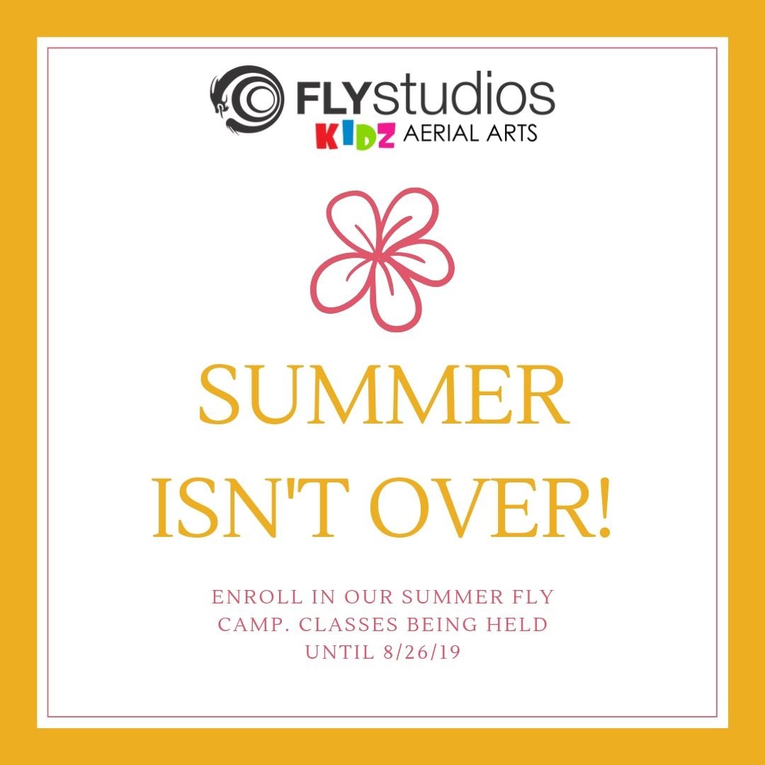 FlyStudiosKidz's tweet photo. Summer Fly Classes are still being held!! ☀️💛
.
#SummerCamp #RedondoBeach https://t.co/EBo9sxBS1L