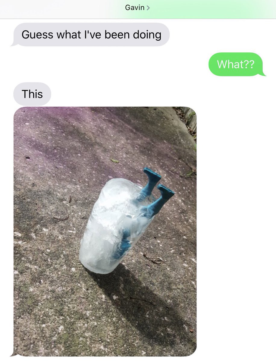 ThomasSanders's tweet photo. Text messages from Gavin are always an adventure. https://t.co/97Nr6wCbai