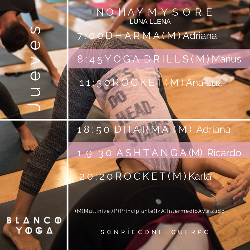 BLANCO YOGA tweet media