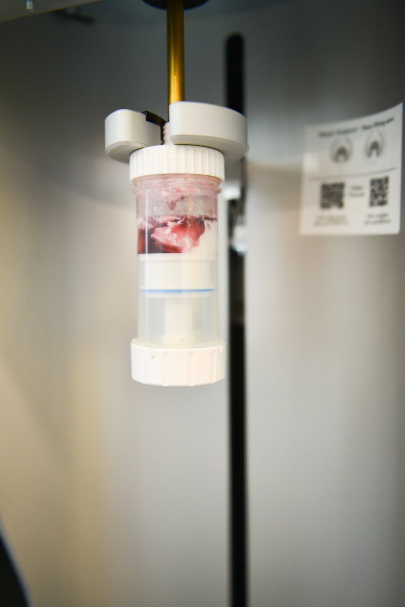 HumcoRx's tweet photo. In case you haven’t heard, we are now offering Gako Unguators &amp; accessories! We did a little test in our lab with a UnoDose Applicator to show you how well these electronic mortar and pestles compound. Call your account manager to learn more &amp; receive best pricing! #gako #humco https://t.co/N65P7UsY66