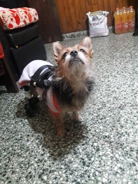 Ver imagen en Twitter