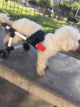 Ver imagen en Twitter