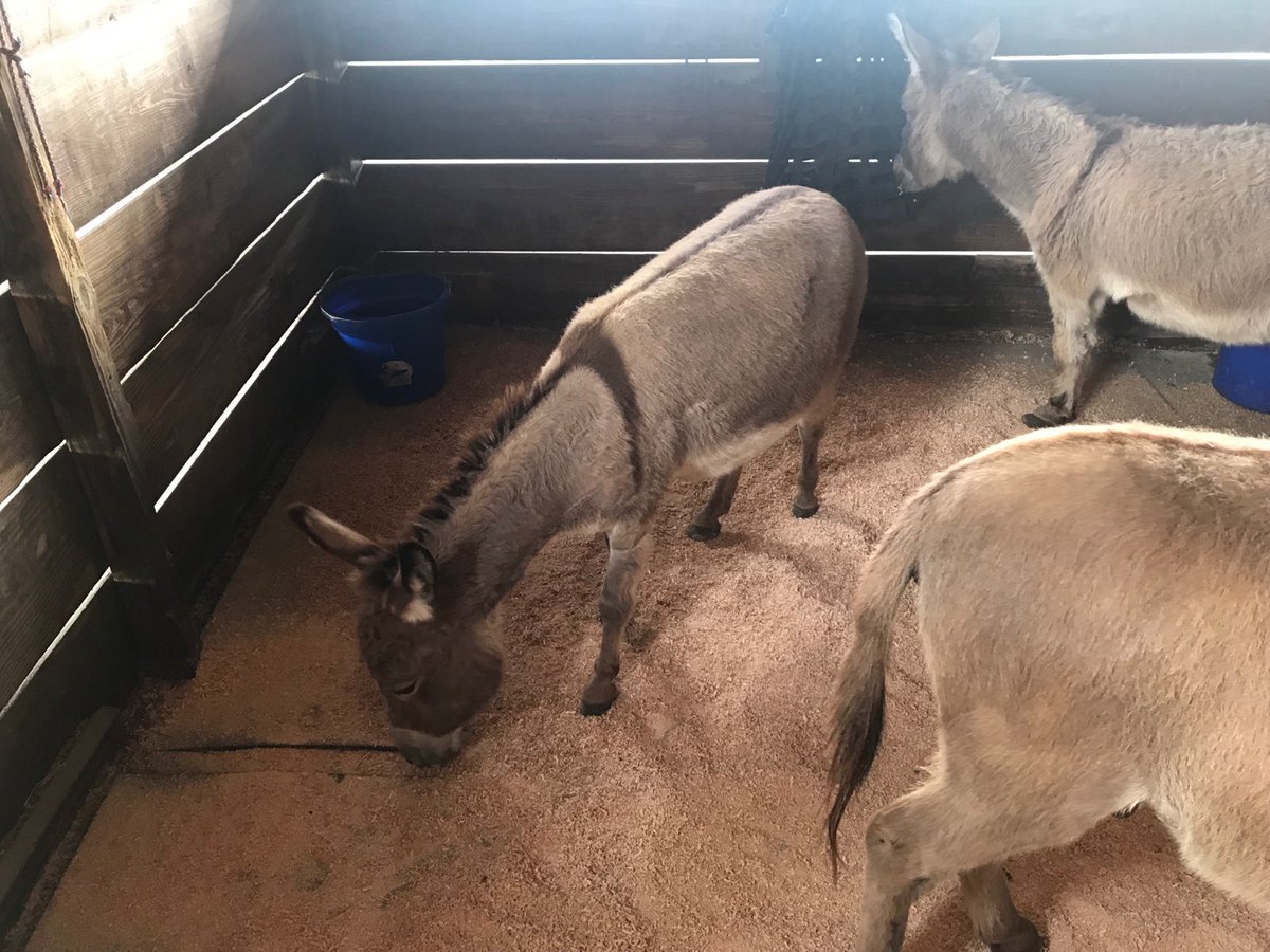 Calling all interested Vet 9th graders who want to attend our Nationally acclaimed Vet Magnet. We have openings! Please come to Varela and ask for Mrs. Knight!