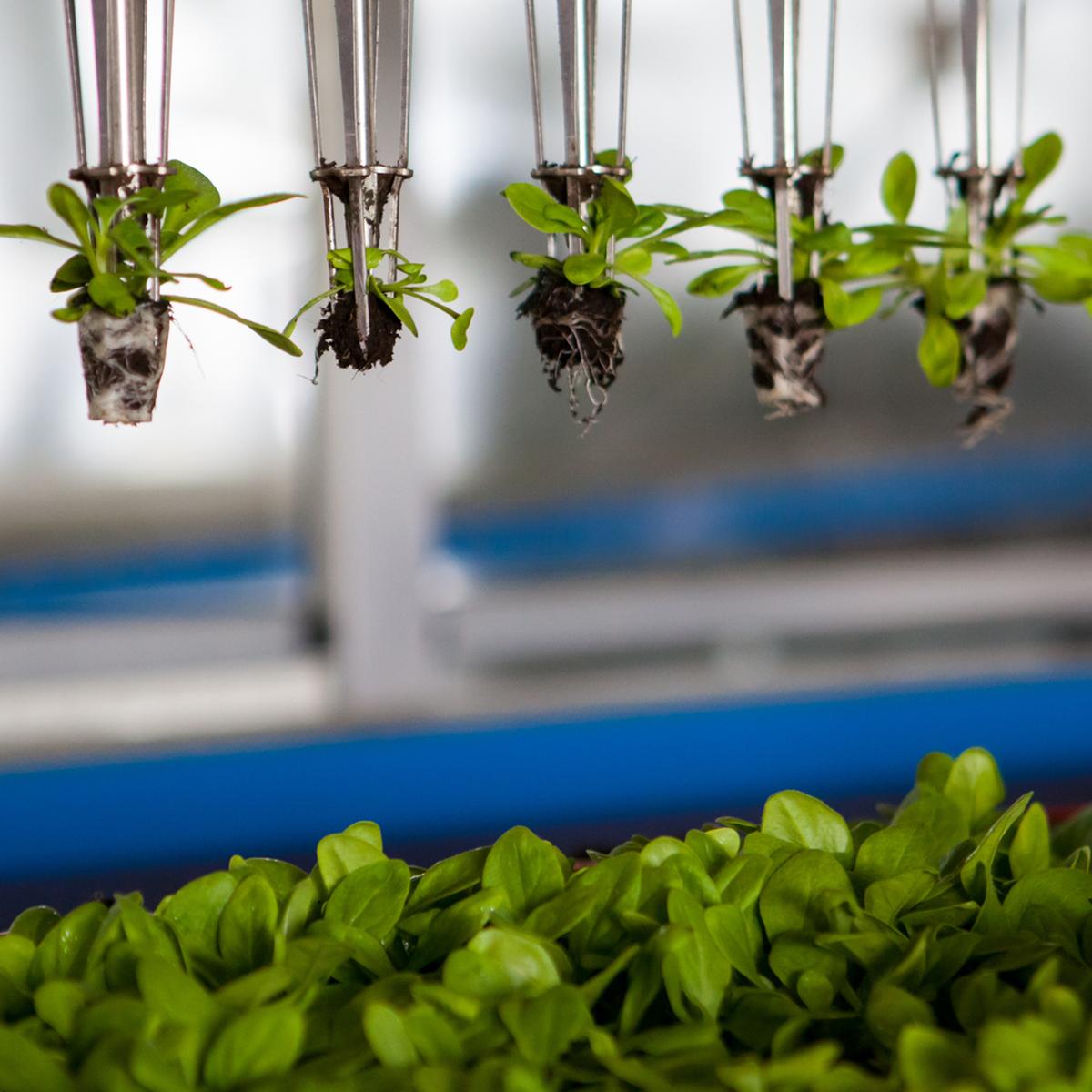 Agtech and rural broadband go hand in hand. Read this week's guest blog post by <a href="/amyhwu/">Amy Wu</a> of <a href="/FarmToIncubator/">From Farms To Incubators</a> to learn more!

refreshfoodandtech.com/broadband-crit…