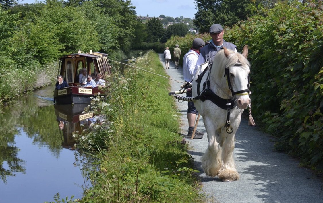 BerriewShow's tweet photo. The Countess will be moored just by the showfield entrance on 24th August. Bookings will be taken for rides along our wonderful stretch of the Montgomeryshire Canal. 

30-40 min horse drawn cruises by Cracker the horse will be departing at midday, 1pm, 2pm, 3pm and 4pm. https://t.co/KdZGFvxXZ1