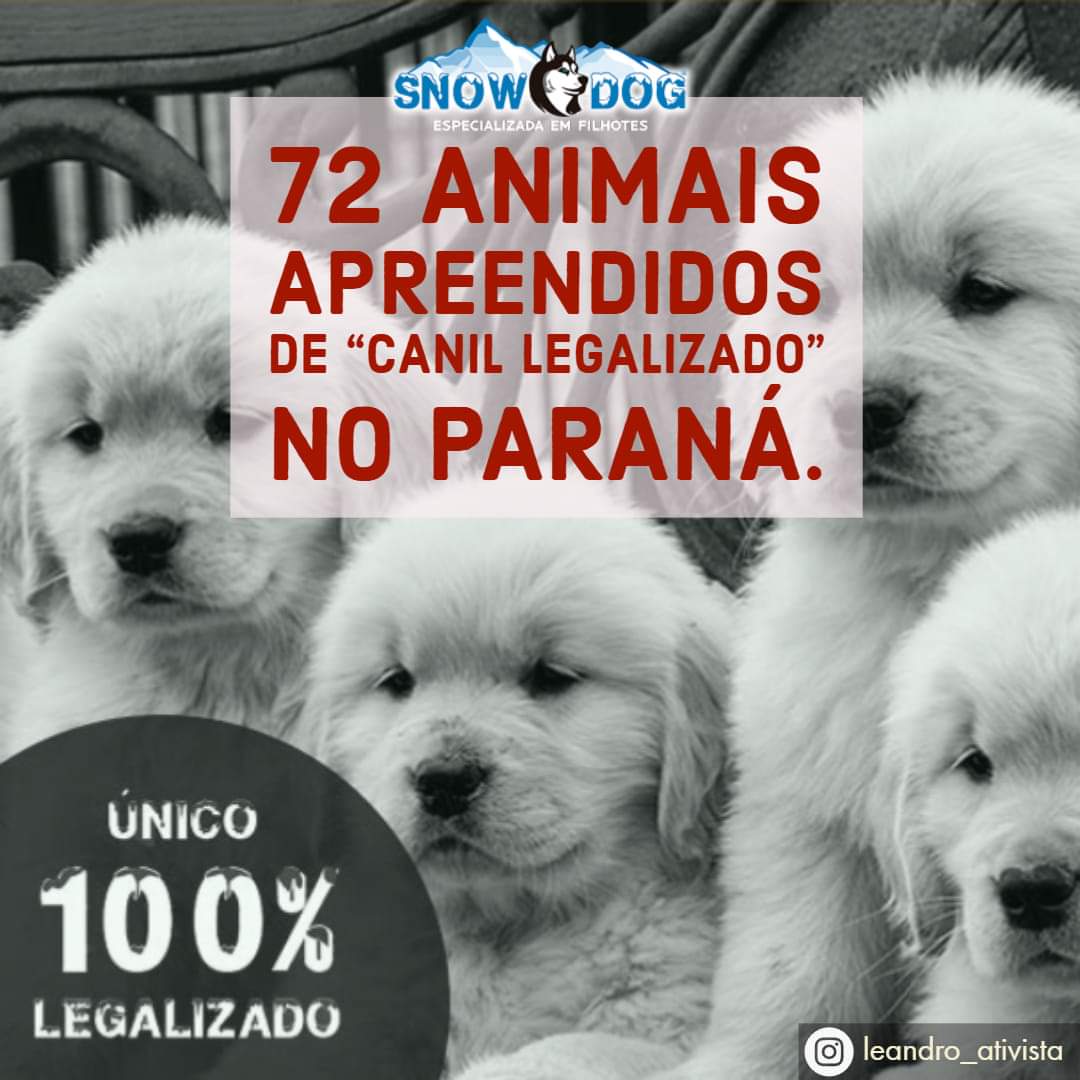 PetShopLegal's tweet photo. Escândalo em #Curitiba #SnowDogFilhotes

Entenda em:
https://t.co/n9D8D5zrzF

🆘 #AnimalNÃOÉcoisa #NENHUManimalécoisa #nãocompreADOTE #BastaDeCanil #FimDaExploração #PetShopLegalNãoVendeAnimal https://t.co/mCijSXKV7S