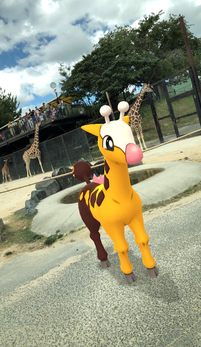 yuppii_pokego's tweet image. 久しぶりに姫セン行ってきました🐘
夜の動物が見れるナイトサファリは圧巻でした！

#ARplus でポケモンとコラボを狙ったものの…難しい…
#GOsnapshot