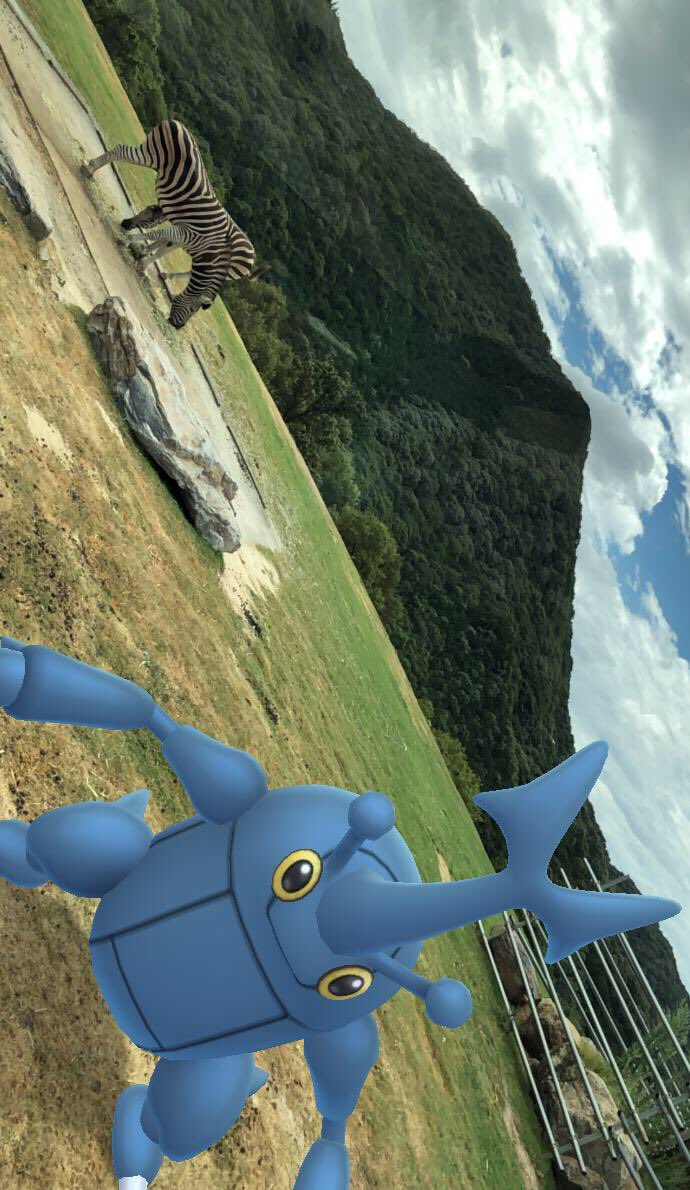 yuppii_pokego's tweet image. 久しぶりに姫セン行ってきました🐘
夜の動物が見れるナイトサファリは圧巻でした！

#ARplus でポケモンとコラボを狙ったものの…難しい…
#GOsnapshot