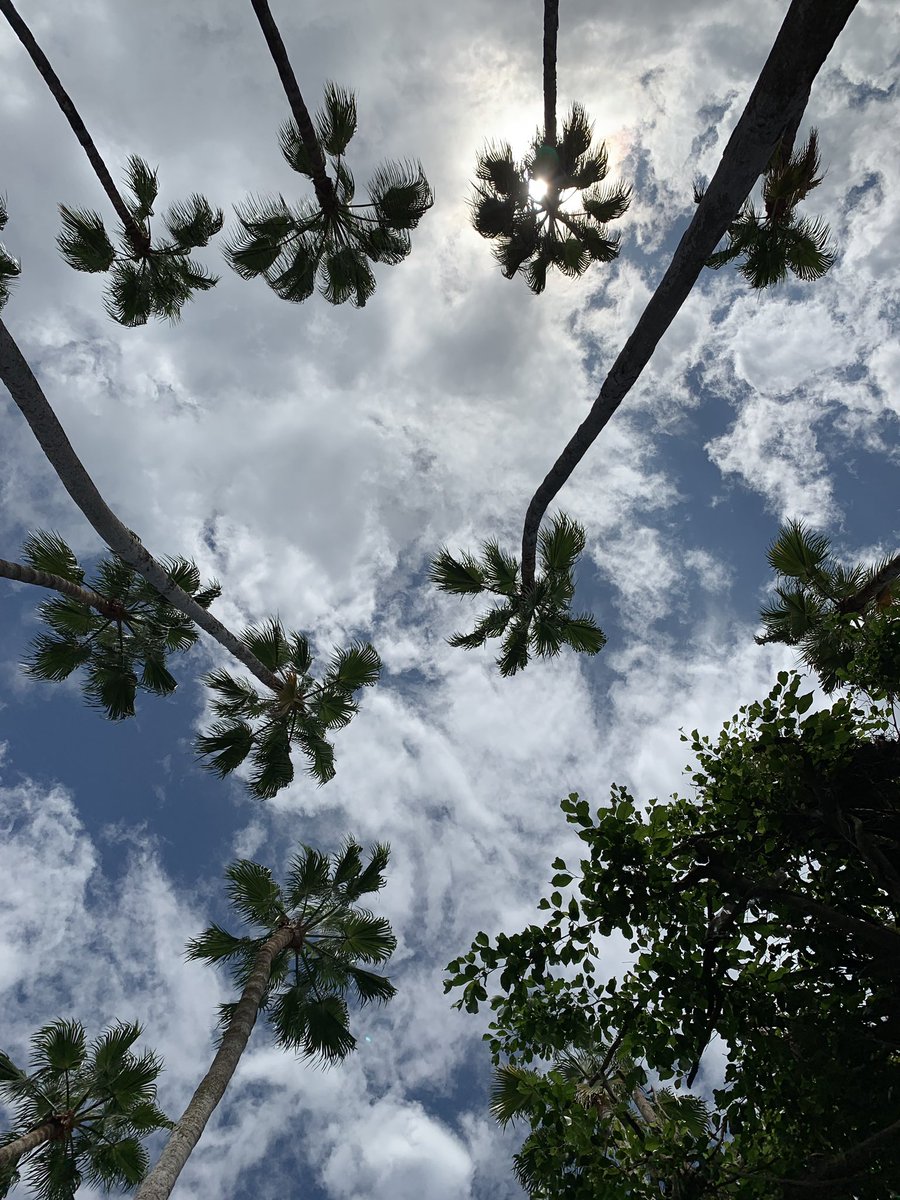 virtualdaniel's tweet image. Saying goodbye to #Miami - and the stunning @1HotelSB back to reality (&amp;amp; rainy London)