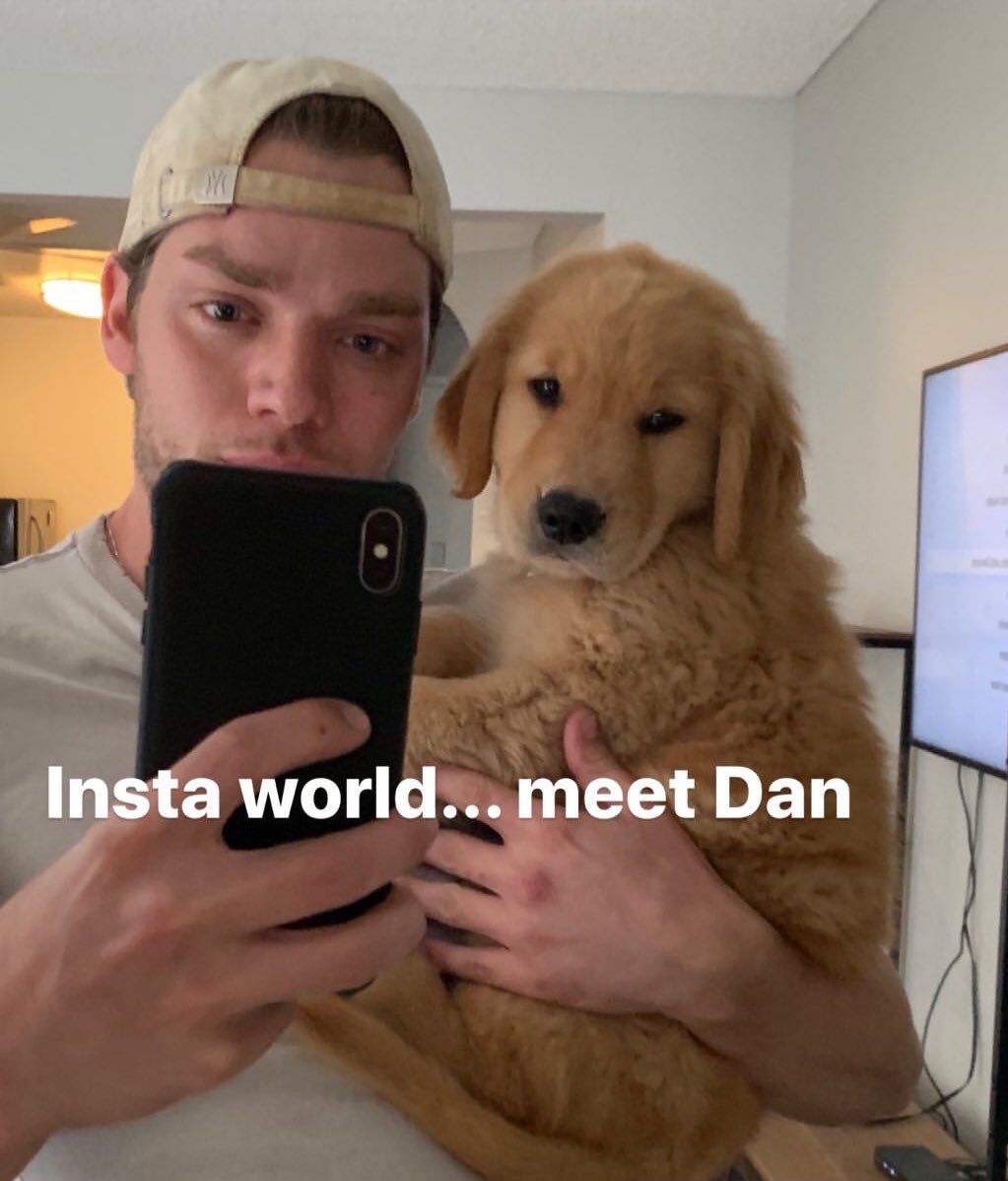 ShadowhuntersLA's tweet photo. #DominicSherwood | #Shadowhunters 

Conozcan al nuevo miembro de la familia Sherwood... Dom nos presenta a Dan... 😍 ¿apoco no está divino? 

Vía IG Stories @DomSherwood1 https://t.co/NwyWldEYdr