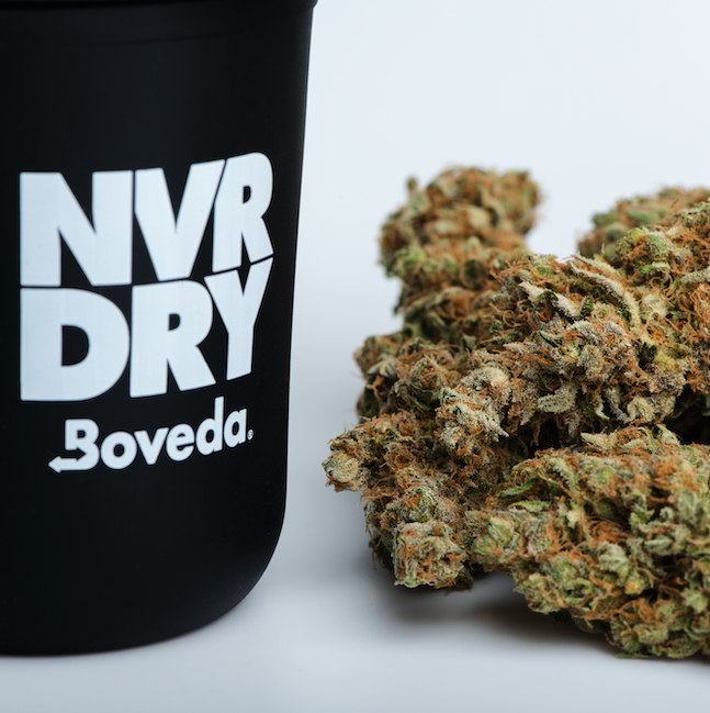 BovedaCannabis's tweet photo. Keep that bud #NVRDRY with Boveda + @ReStashJars 👊 https://t.co/y3dqxS2DaE