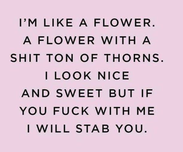 Rusteezie's tweet image. 