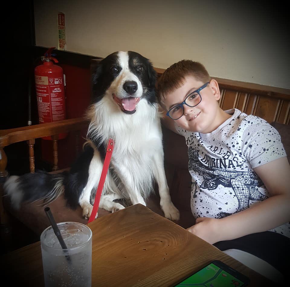 BringAlfieHome's tweet photo. @MissingPetsGB As if he'd never been away https://t.co/AISGMhfBwA