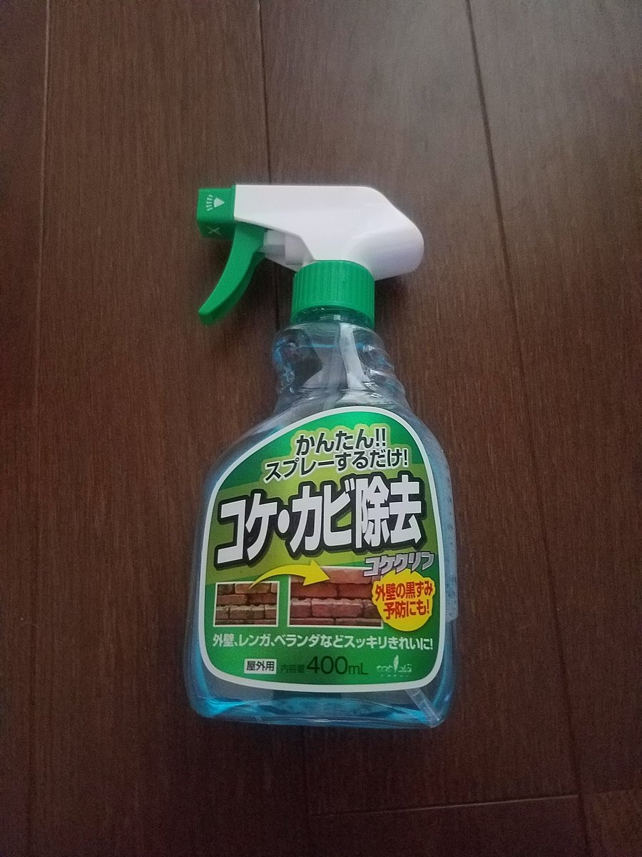 外壁のコケ