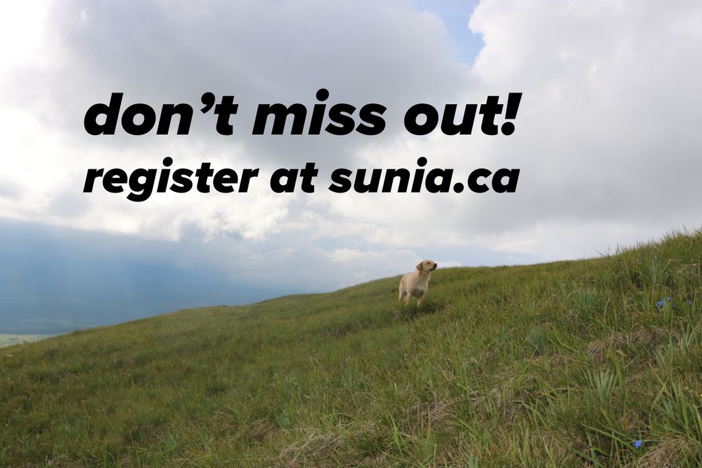 suniacamp's tweet photo. Registration is closing soon! Interested but haven't made up your mind? Don't miss out on a summer to remember, and head on over to https://t.co/sMUGPJRM2h to learn more. Have questions about cost, the program, or anything else? Shoot us a DM! https://t.co/ogV9zqmb9S