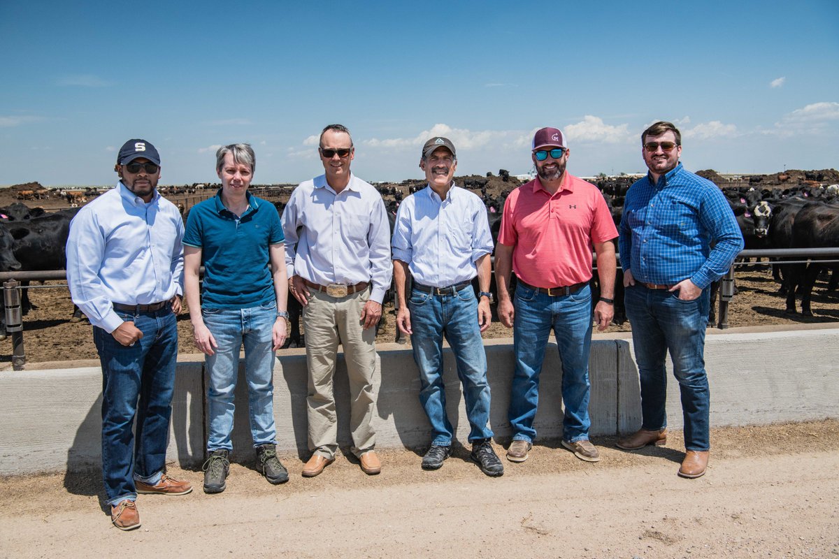 Dan Berkovitz - ARCHIVED tweet media