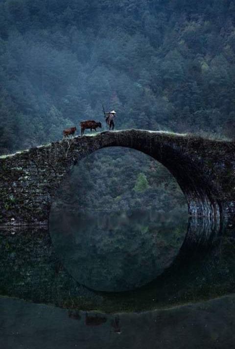 machavelli7's tweet photo. "If you believe it will work out, you'll see opportunities. If you believe it won't, you will see obstacles." Wayne Dyer https://t.co/Lxe99VNIRw