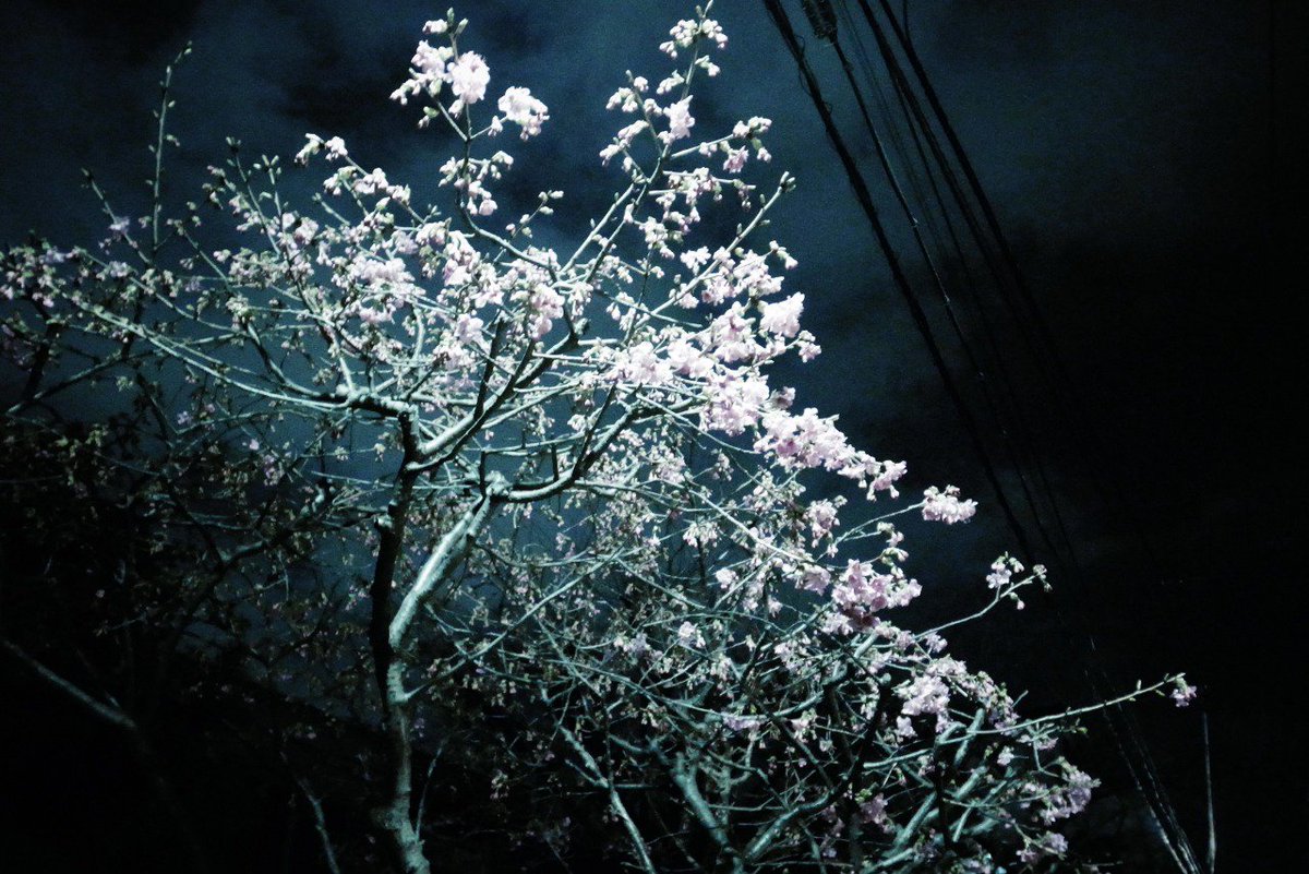 Archillect (@archillect) on Twitter photo 