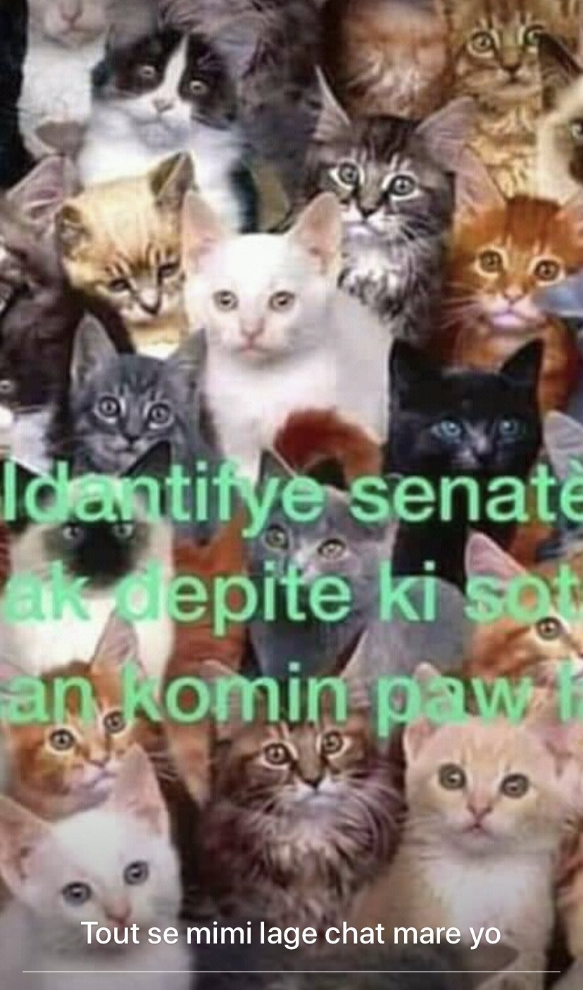 Dinovice Idantifye Senate Ak Depite Ki Soti Nan Komin Paw La Dinovice Idantifye Senate Ak Depite Ki Soti Nan Komin Paw La