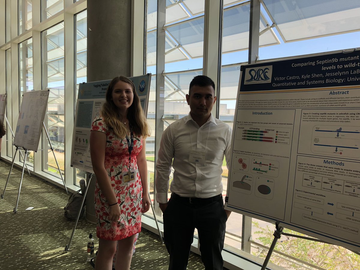 We were happy to have Kaitlyn Mesa and Victor Castro in the lab this summer as part of the @CCBM_UCMerced and UROC summer undergrad research programs.