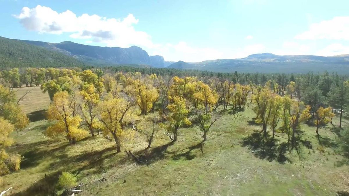 505Nomad's tweet photo. Chama #NewMexico Fall 2016 Aerial - https://t.co/9PhWODfkAi
#autumn #fallcolor #travel #roadtrip #vacation #weekengetaway https://t.co/lLS7CSbhnx