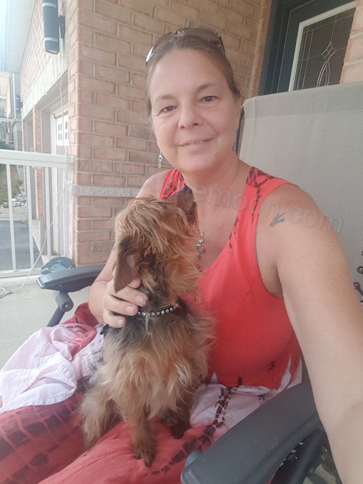 TW Pornstars - Carrie Moon. Onlyfans.Com/carriemoon. Pictures and videos from Twitter. Page 13