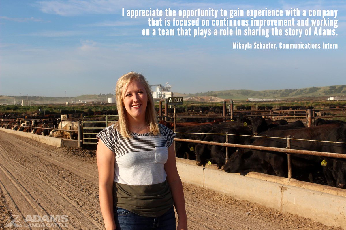 AdamsCattle's tweet photo. Meet one of our #ADAMSInterns...Mikayla Schaefer from @IowaStateU! Take a look at what she enjoys most about her communications and recruiting #internship. https://t.co/tlaUvNkLFp