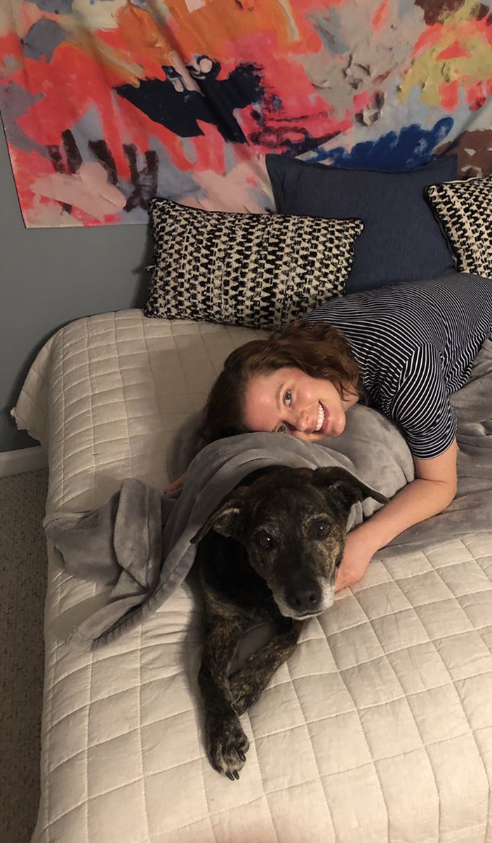 MissAtallah's tweet photo. Definitely a little nerdy, but I’m honestly so excited for this school year to start!! But I will miss all the cuddle time with my Zoe girl 🐶 ❤️ #ChantillyPride https://t.co/m84vWgkX6J