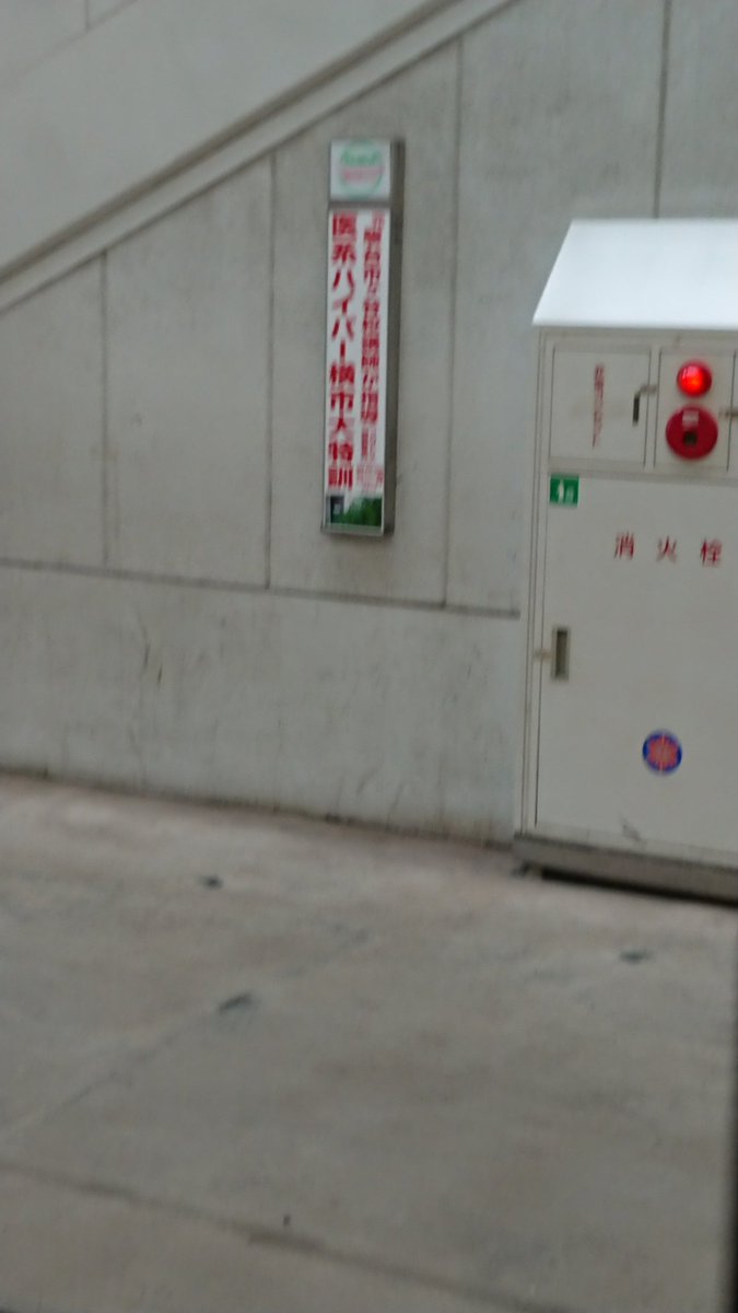 清 史弘 元駿台市谷講師が指導って誰だろう