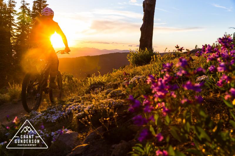 McCall Area Chamber August 2019 Newsletter! Squeeze the most out of summer this month. conta.cc/2yzntQh