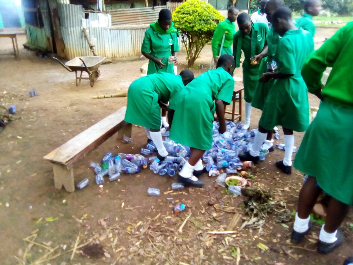 Schools Tree Project tweet media