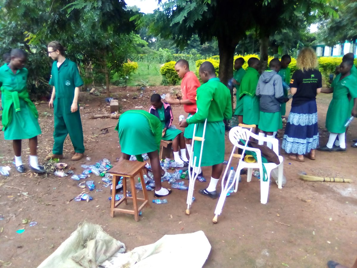 Schools Tree Project tweet media