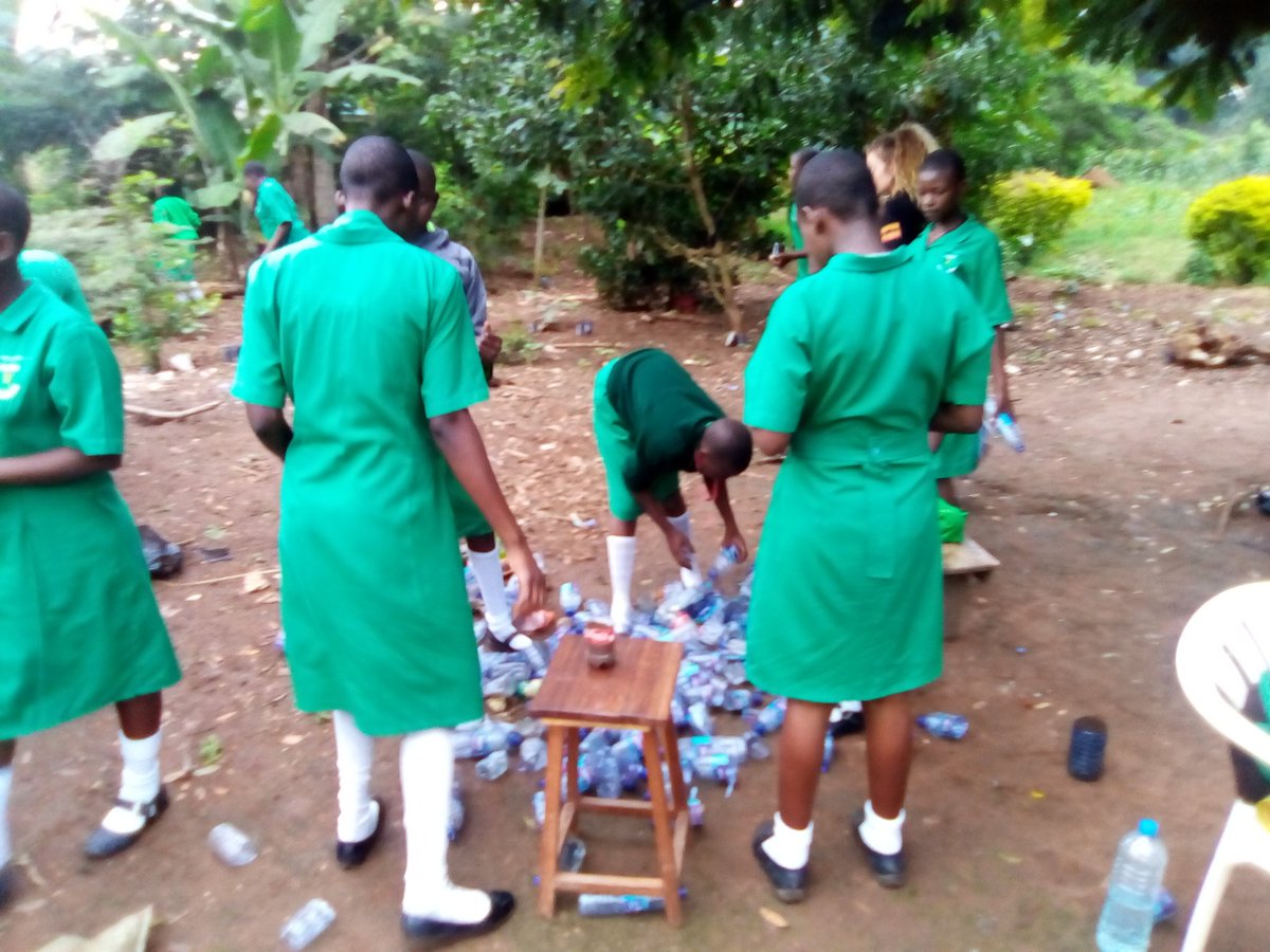 Schools Tree Project tweet media