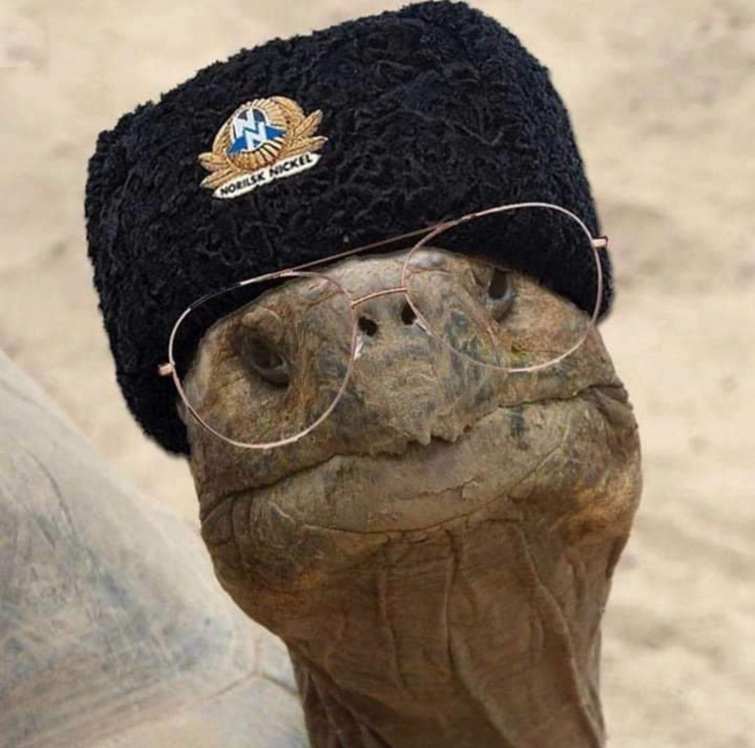 EBAV8h0W4AATfTC?format=jpg&name=medium