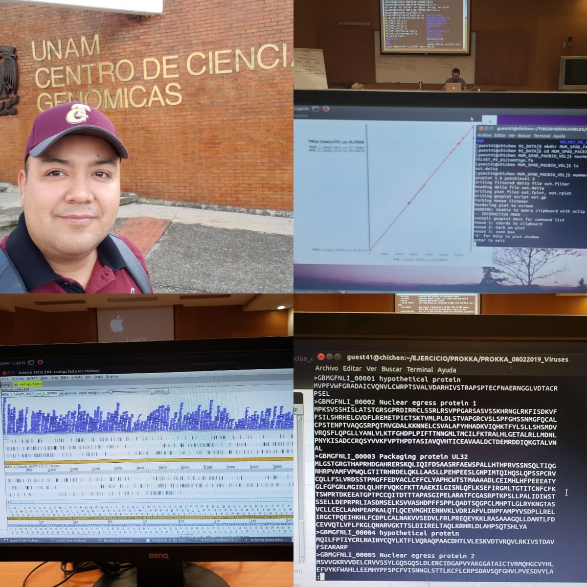 PlantBioGen's tweet photo. Concluimos el Taller de Ensamble y Anotación de Genomas, como parte de los Talleres Internacionales de Bioinformática 2019. ¡Excelente evento! @nnb_unam @ccg_unam @RBioinformatica @CDSBMexico #TIB2019 https://t.co/X9Kx6z54aZ