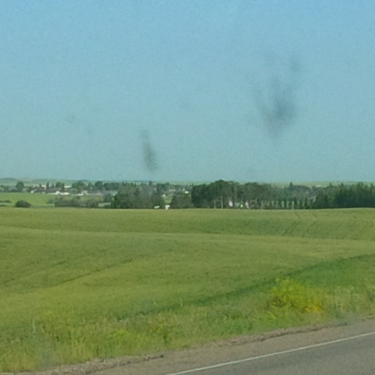 YuEuG's tweet photo. Welcome to #Sask #SK #naturally
& Macklin! #BonesWeekend #Bunnock https://t.co/kBTerz7Li2