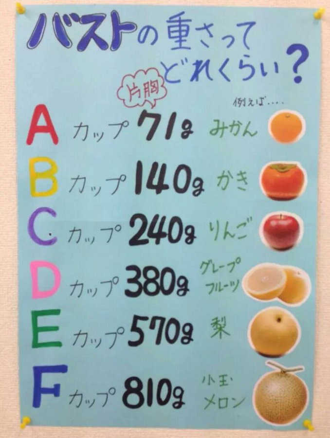 胸のカップ数で見た目は変わる カップサイズ別 A B C D E F G に大きさとシルエットを比較 宮ちゃんのナイトブラ
