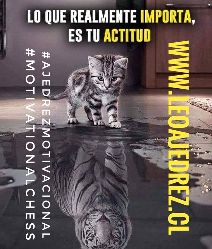 kikemprendedor's tweet photo. Ajedrez para ganadores (as)
#motivationalchess
#ajedrezmotivacional
#ajedrezparalavida
#chesschampions
#ajedrezparacampeones
#ajedrezcampeón
#charlamotivacionaldeajedrez
#leoajedrez
#leochess
#leonardopalmaviveros
#ajedrezcreativo
#ajedrezinnovador
#lídercreativoenajedrez https://t.co/trlIiG6h7z