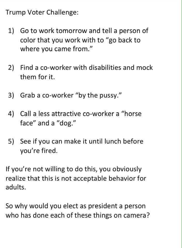 Stop_Trump20's tweet image. Trump voters challenge