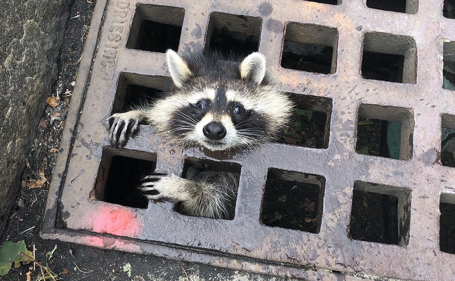 EBAbAPvXYAA02id?format=jpg&name=large