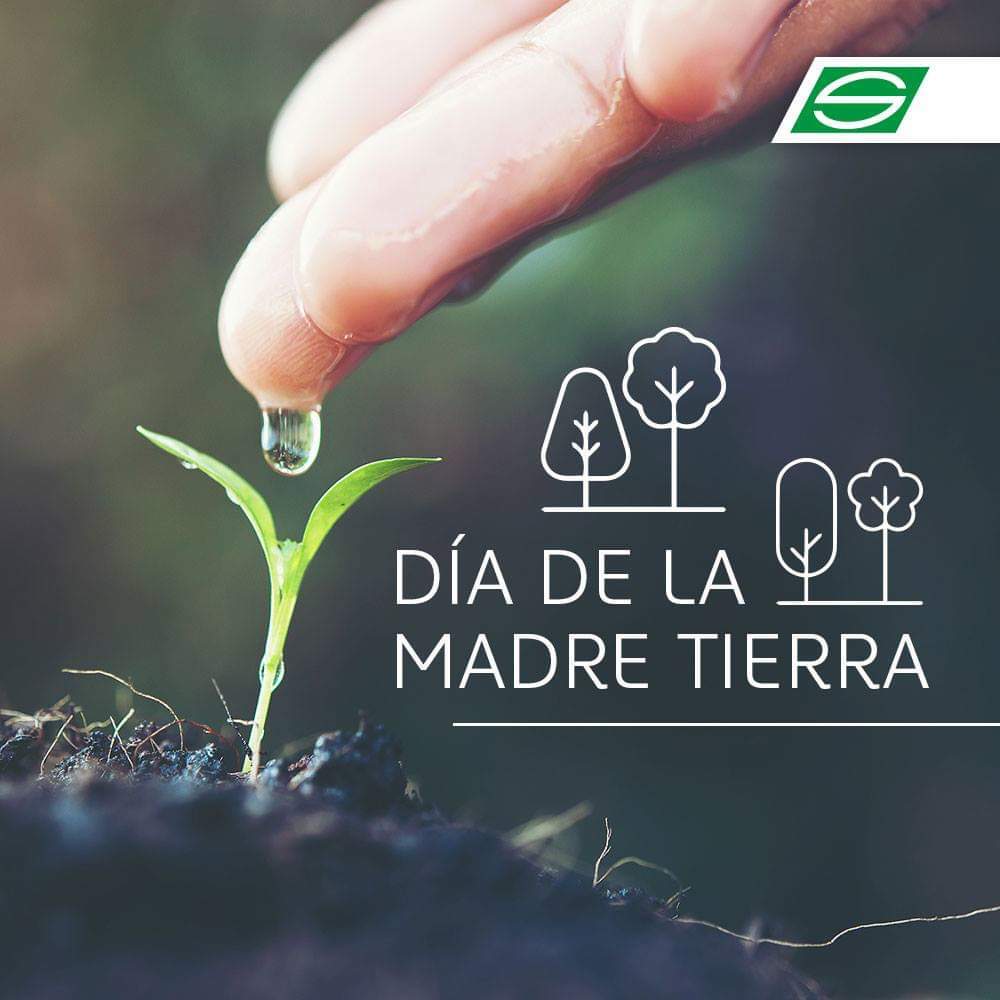nlugoleon's tweet photo. Como parte del y compromiso con el desarrollo ecológico del país, #Servientrega se compromete a realizar la siembra de 220.000 árboles en el año 2020. #DejandoHuellaVerde por el futuro de las generaciones. #Diadelamadretierra https://t.co/U5uZZyUqHJ
