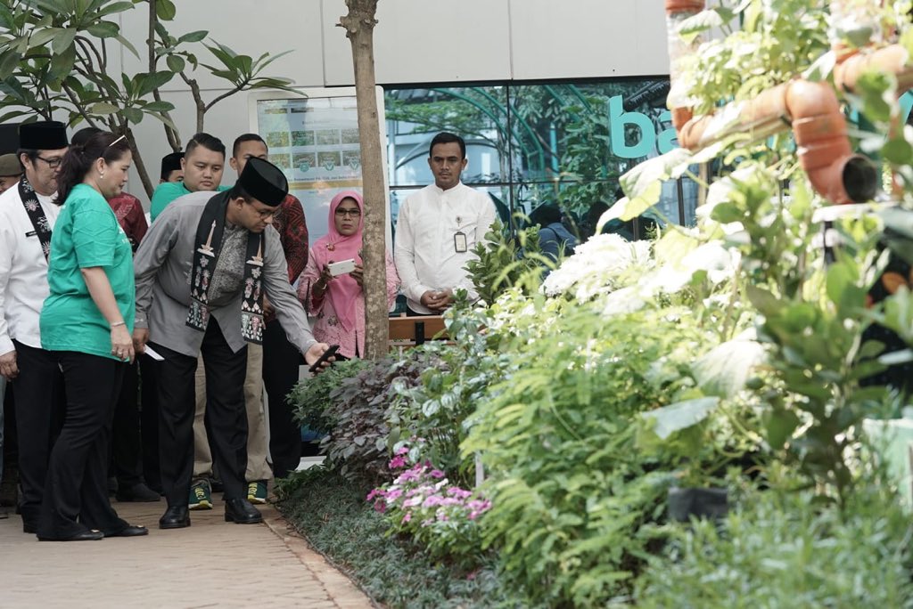 aniesbaswedan's tweet image. Alhamdulillah, kita bersyukur sekali. Sekarang Balaikota punya kebun, Balkot Farm. Ukurannya tidak besar, tapi InsyaAllah dampaknya besar...

#BalkotFarm
#UrbanFarming
facebook.com/18283837175315…