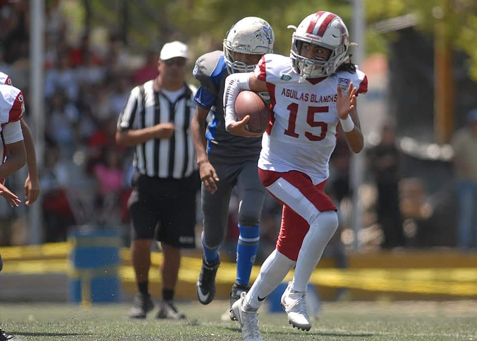 TribunaGyB's tweet photo. INFANTILES 2019 SEMIFINALES 

📆 Sábado 3 Agosto

🏈 PRE INFANTIL🏈

🐎@Potros_Salvajes
🆚
🦅@AguilasIPN 
🕜 9:00 HRS 
🏟️ Casillero Jacinto Licea Mendoza

🏈 INFANTIL 🏈

🦅@AguilasIPN
🆚
🐎@Potros_Salvajes 
🕜 11:00 HRS
🏟️ JJ PICHARDO 

#VamosPorLaFinal
#FamiliaAguilasBlancas https://t.co/LW3S5bWQTK
