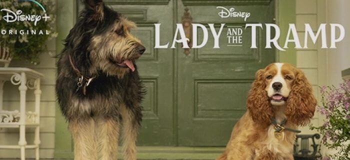 InsideTheMagic's tweet image. Disney’s live-action “Lady and the Tramp” will be different from other remakes bit.ly/2KnrQU2 #DisneyMovies