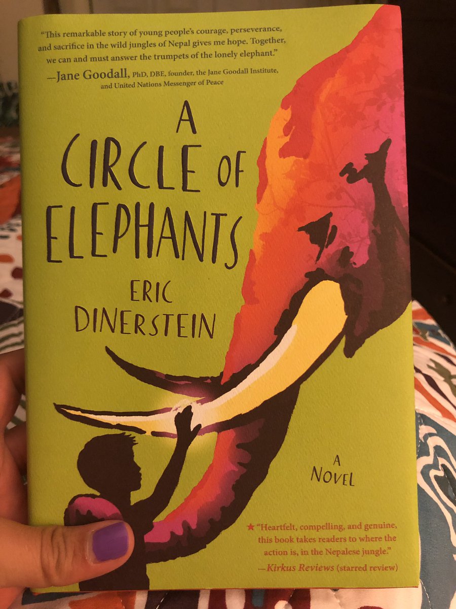 MissMonighan's tweet photo. When you have an elephant themed classroom and you’re pretty much elephant obsessed, obviously this is the next book to read! 🐘❤️📚 #currentlyreading #booklover #elephantlover #kidlit https://t.co/vQWAWBd5Zd