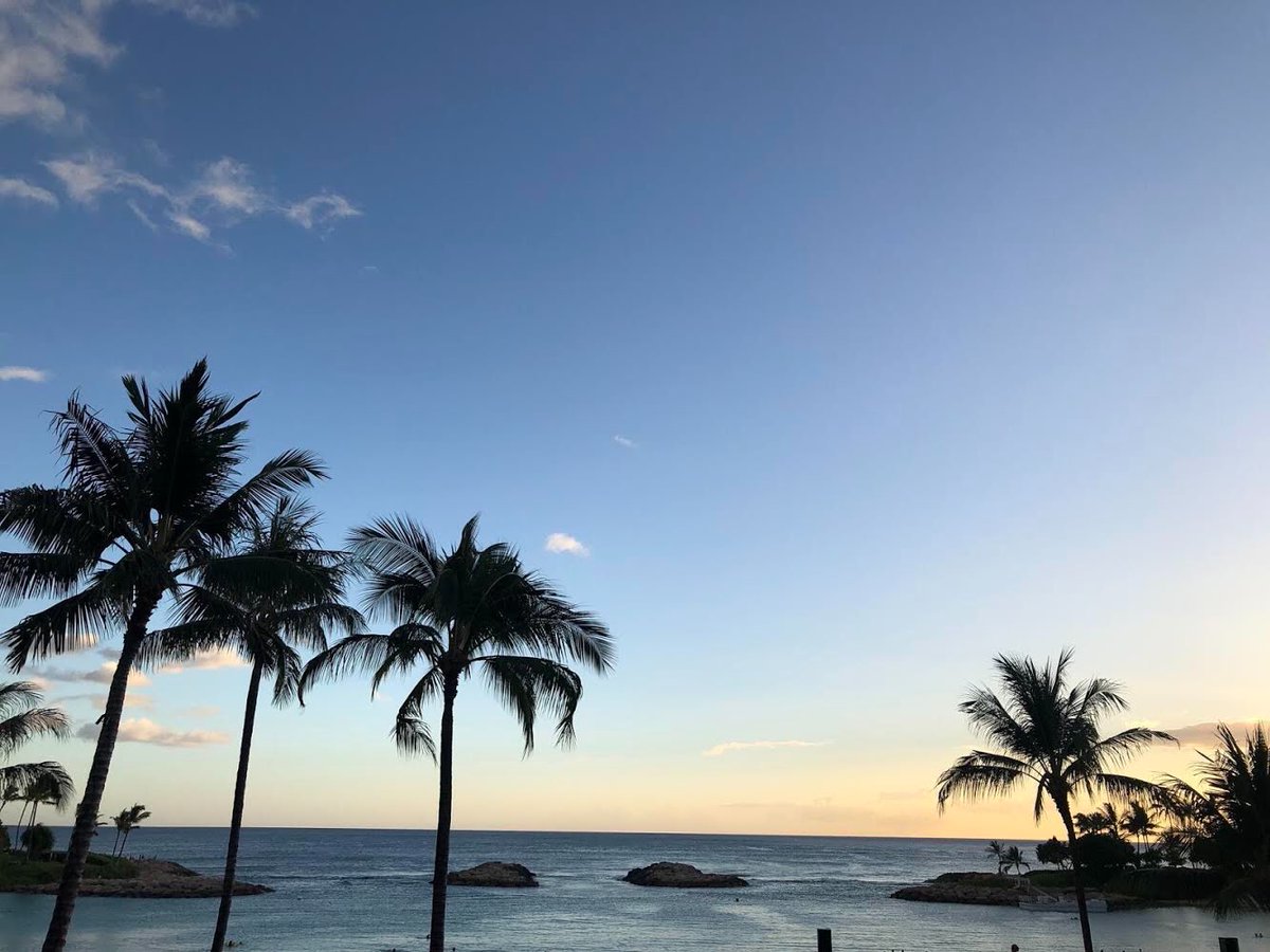 bookdirect's tweet photo. RT @OlaProperties: “The mind should be allowed some relaxation, that it may return to its work all the better for the rest.”
-Seneca
Where is the best place to relax on the islands?
@taylovestaetae
#OlaProperties #Hawaii #Aloha #IslandLife #BookDi… https://t.co/NaMVMDmFGd