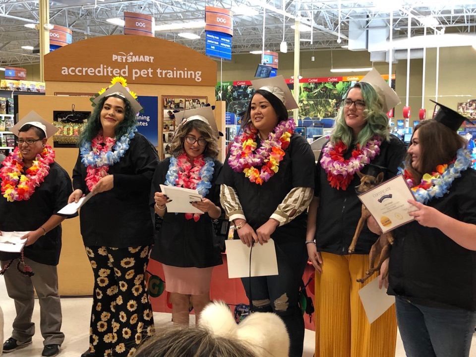 So much with these ladies the last three weeks. I’m so proud of all of you! <a href="/Ashley_Grooming/">Ashley</a>