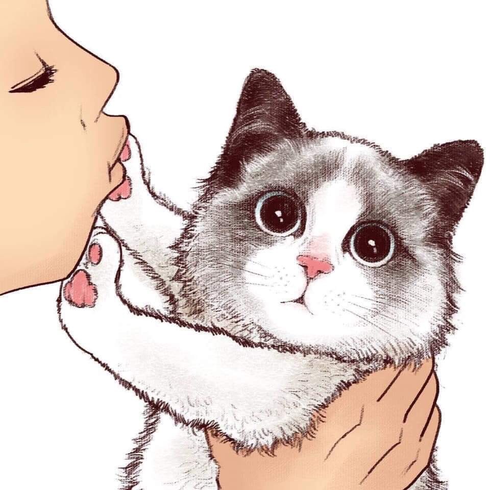 Поцелуй от кошки